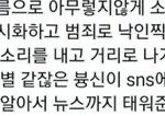 알페스 그만 좀 하자