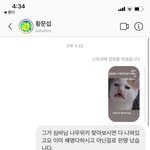 <b>심바</b>와자디