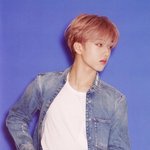 <b>붐</b> 지성