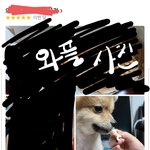 [댓글부탁해] 강아지한테 <b>와플</b> 줘도 됨??