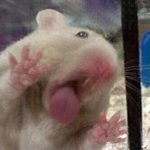 어카냐 얘들아 나 옆광대 조카 자란듯