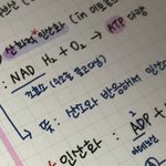 내 <b>글씨</b> 어떠냐