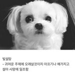 영잘알님들 ㅠㅠㅠㅠㅠ