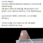 이거 사이즈 어떻게하라는거지