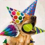 댕댕's <b>day</b>!