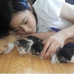 <b>동방</b>예대 방송쪽계열은 많이높아?