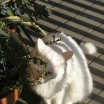 [댓글부탁해] <b>카뱅</b> 카드 재발급했는데