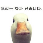 [댓글부탁해] +)얘들아 이 퀴즈 맞춰봐