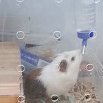 [드루와] 고3만)건대3칸 <b>숙대</b>7칸이면 <b>추</b>합이야?