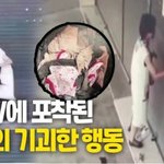 속옷으로 가게 셔터 '쓱쓱'…<b>CCTV</b> 포착된 여성의 기괴한 행동