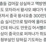 <b>개</b><b>쳐</b>웃김