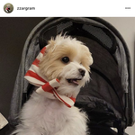 [찬열] KJD가주말에<b>놀러</b>가쟤?