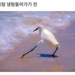 [추반] 알바 <b>문자</b> <b>지원</b> 넣었는데