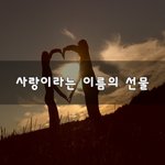 [너가봤으면] 사랑이라는 이름의 선물~