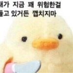 이럴때 팬덤대<b>통합</b>을 하자