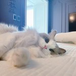 [모두드루와] 걍 알페스 정리해줄게