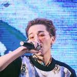 [위너] <b>송이</b>