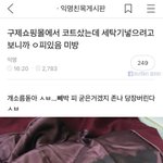 [드루와] 으악 나 <b>구제</b>옷 진짜 좋아하는데ㅠㅠㅠㅠㅠㅠㅠㅠ