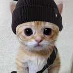 시즈니<b>이이</b><b>이이이</b>