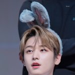 [드루와] 더보이즈 데이즈드 화보 어디서 삼?