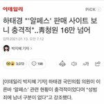 호모녀들아 알페스 정의가