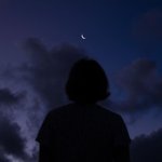 아이패드 <b>요즘</b> 잘나가는게 뭐<b>임</b>?
