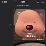 이모한테 <b>루피</b>짤 잘못 보냄 미친