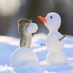 [댓글부탁해] 너네 가로<b>세로</b> 눈길이 얼마야?