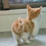 [댓글부탁해] <b>영통</b> 띔 얼마 제시해야됨??ㅠㅠ