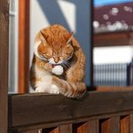 [댓글부탁해] <b>니</b>네 같으면 이 조건에 <b>사</b>?