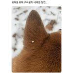 [드루와] 나 스타일 완전. 바뀜