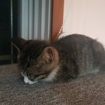 [드루와] <b>ebs</b>나 무료 인강 추천해주세요!!!