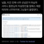 알페스 이건 선넘었지