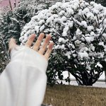 [NCT] 혹시 여기에...2n살 즈니들아