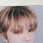 [<b>NCT</b>즌] 2020 퓨쳐 지성이 포카 시세 좀