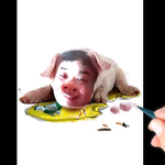 박호두 <b>돼지</b>고기로 그리기