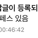 <b>투디</b>도 알페스 잇다는 건 뭔소리냐 대체??