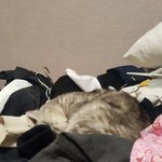 [댓글부탁해] 야 여기 방 꾸미는<b>거나</b> 가구배치 아는사람 있냐...