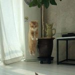 [댓글부탁해] <b>짝녀</b> 이상형들 특징좀 알려줘