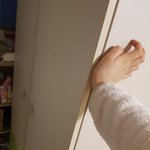 [댓글부탁해] 너네라면 이 <b>옷장</b> 방으로 들인다ㅜ안들인다?