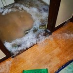 [<b>19</b>] 병원가서 ㄸ꼬 뚫은 <b>썰</b>