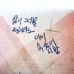 [댓글부탁해] 내 택배가 <b>주소</b>불명 됐는데 어떡해?