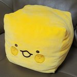 [이것좀봐줘] 잠 못자는 사람들 들어와