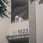 [더보이즈] 얘들아 이거 언제야?