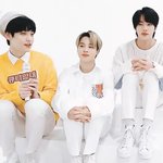 박지민 왜이래