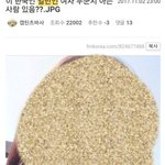 자장<b>작용</b> 잘된다던 그 남초사이트