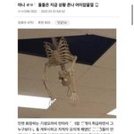 [이것좀봐줘] <b>래퍼들</b>이 알페스를 논하는게 어이없는 이유