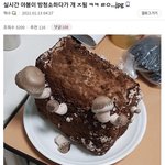 식빵 사고 <b>버섯</b> 공짜로 얻음