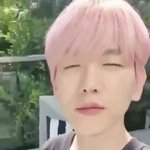 <b>햇빛</b>에쫙쫙말린 강아지래