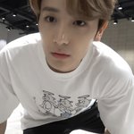 나 진짜 얼빤가봄 본진 아닌 돌 갤러리에 개많음